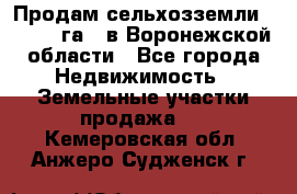 Продам сельхозземли ( 6 000 га ) в Воронежской области - Все города Недвижимость » Земельные участки продажа   . Кемеровская обл.,Анжеро-Судженск г.